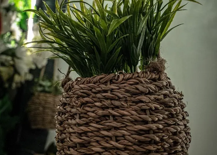 Castro's Appartament Apartman *